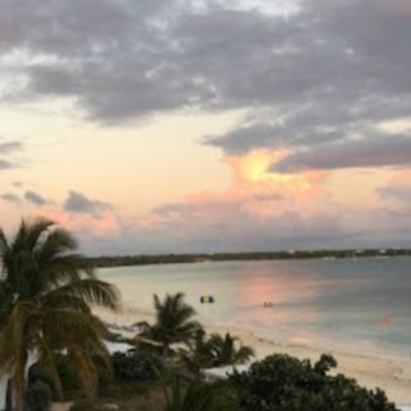 Meet your Posher, Devon - Picture 1 of 1